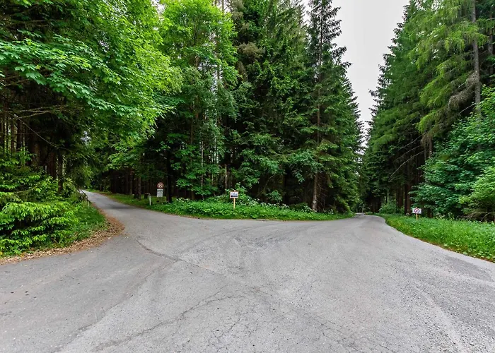 Lipno View - Blue 6 Apartment *